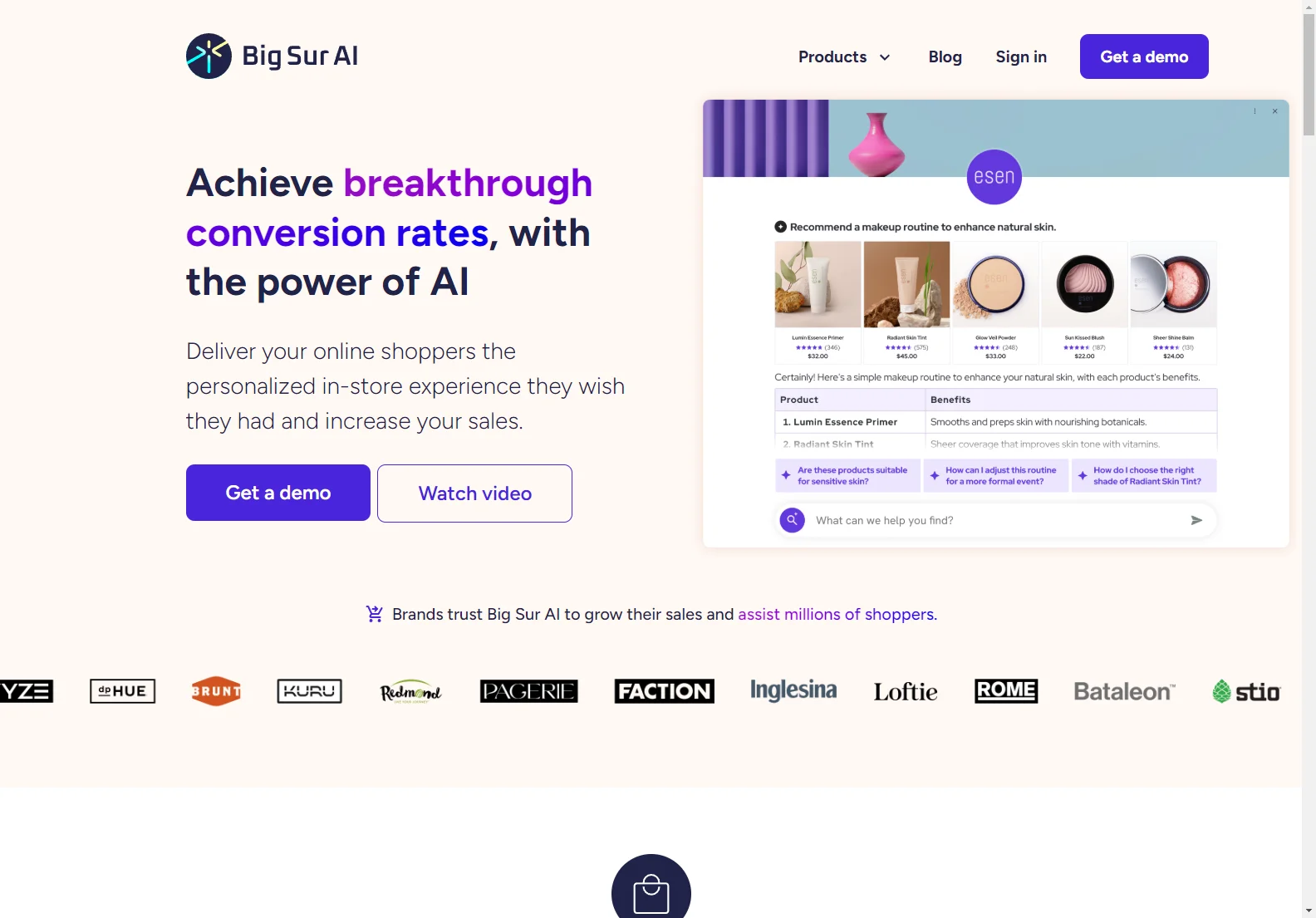 Big Sur AI: Boosting E-commerce Conversion Rates