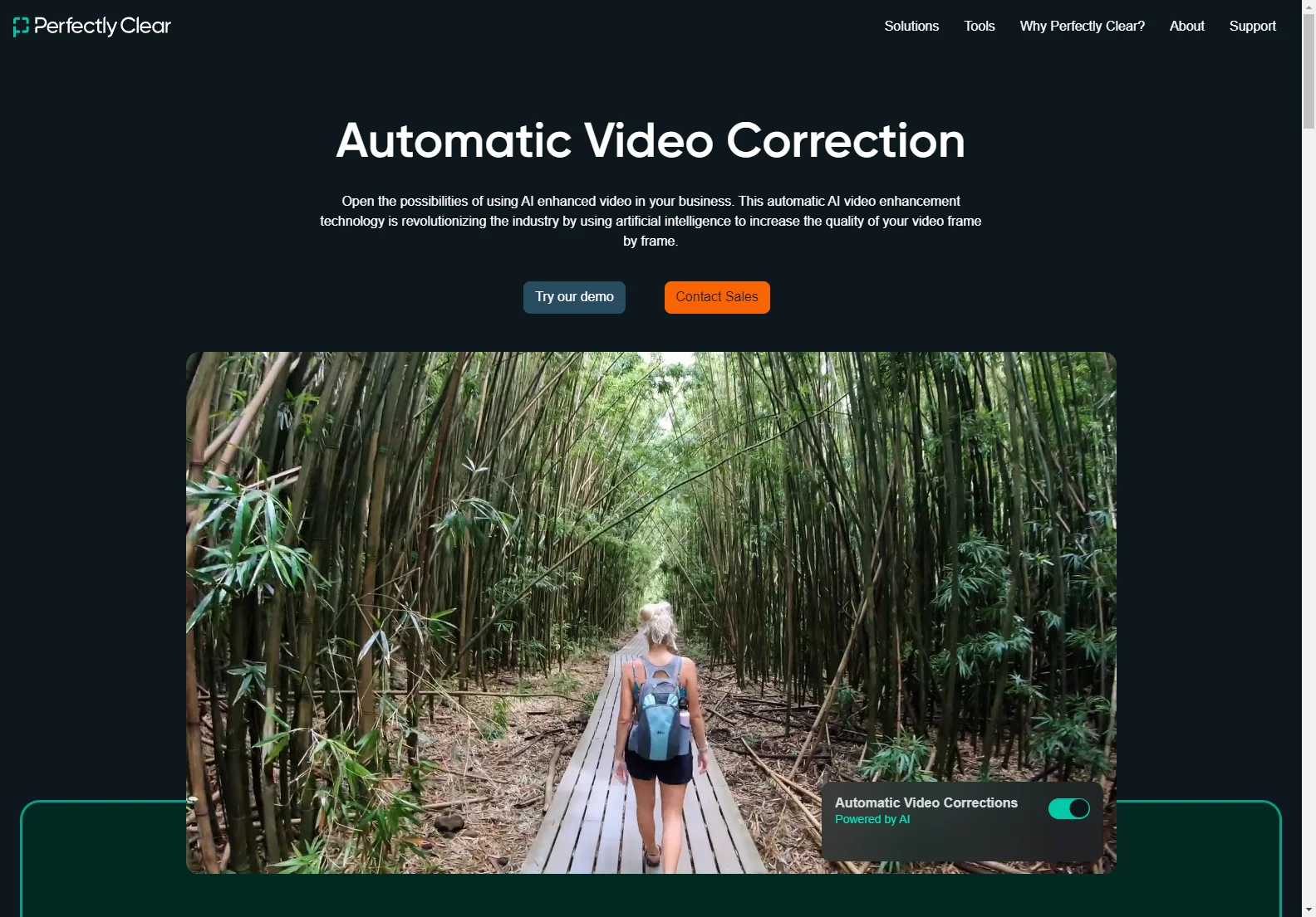 Boost Business with Perfectly Clear Video: AI-Powered Enhancement