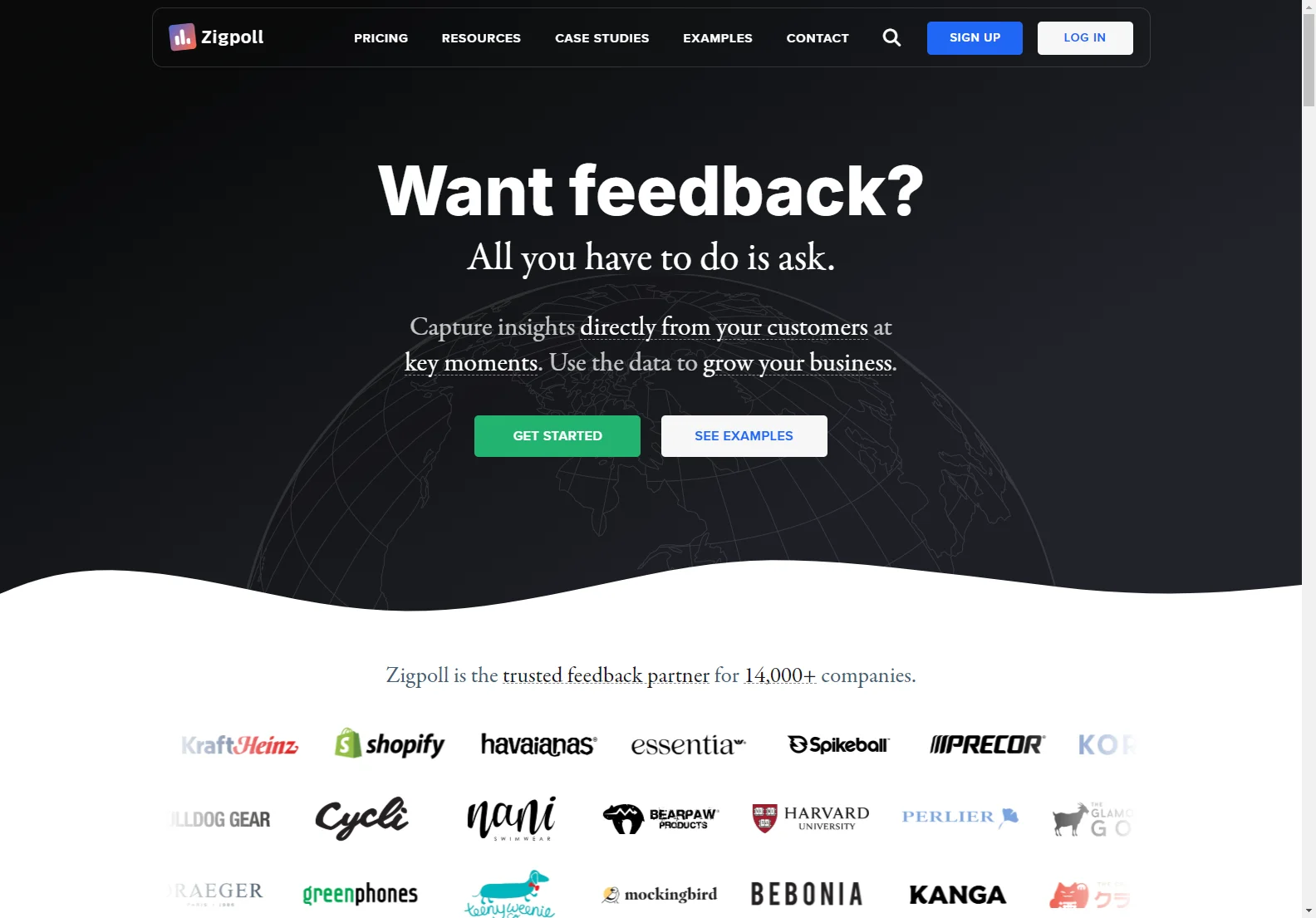 Zigpoll: Revolutionizing Business Feedback