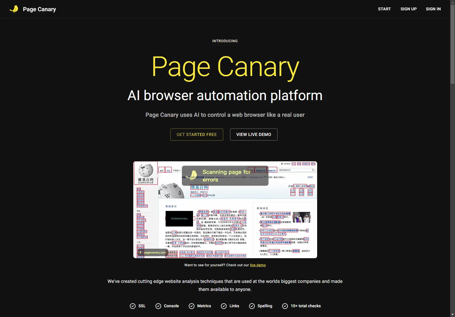 Page Canary: Ensuring Website Quality with AI