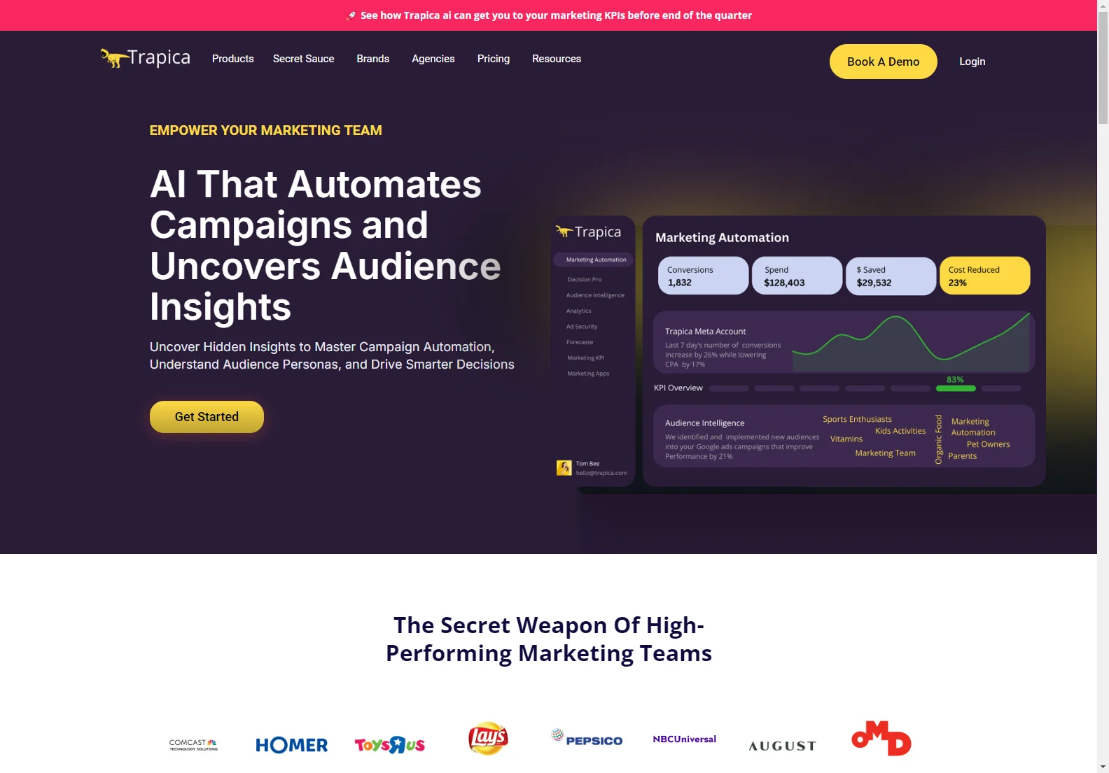 Trapica: Empowering Marketers with AI for Marketing Success