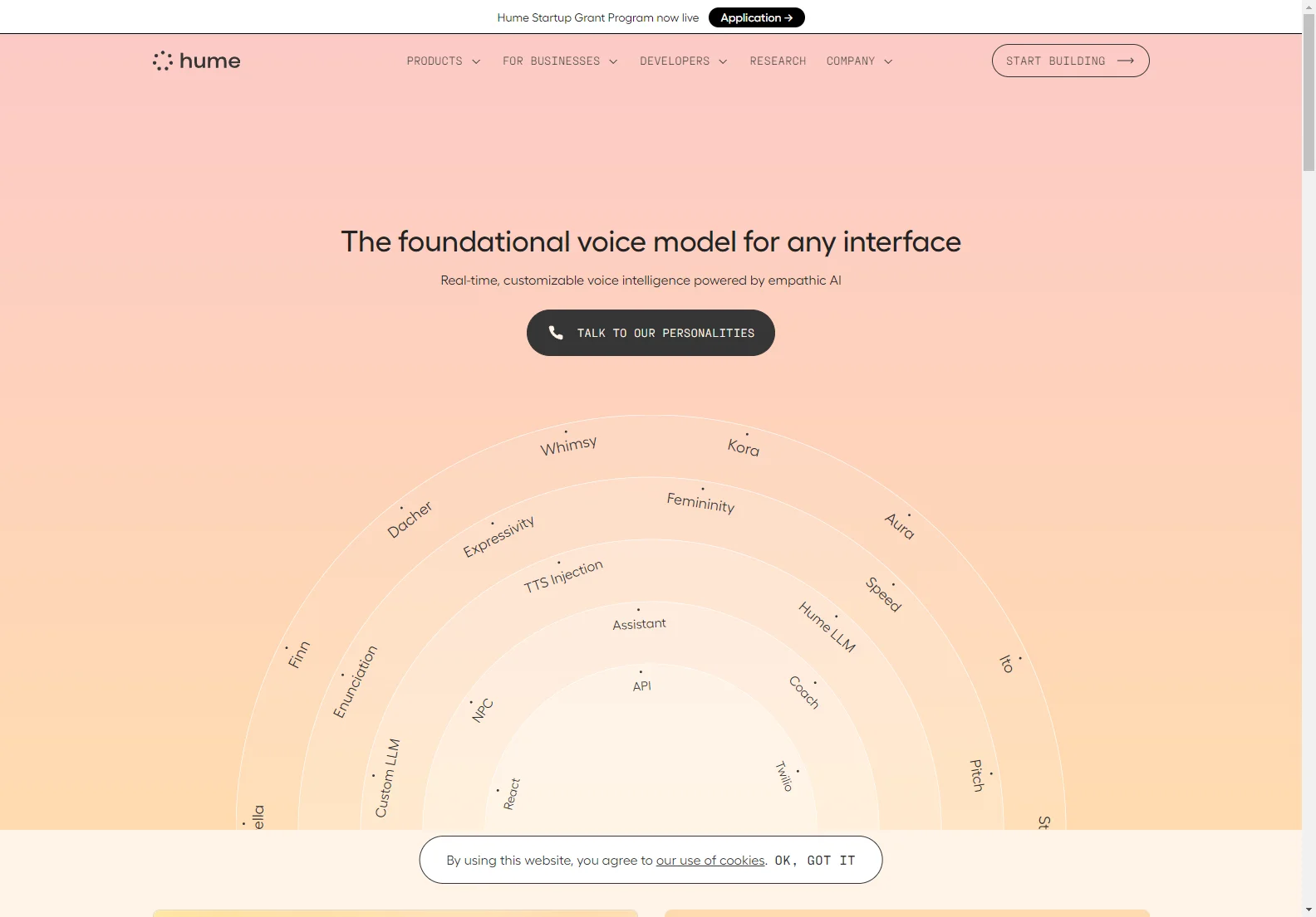 Hume AI: Empathic Voice Interface for Customized Communication