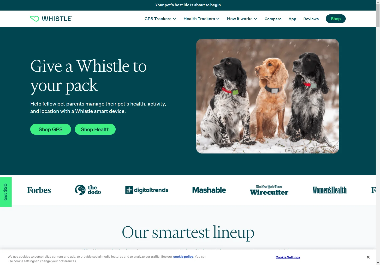 Whistle: Enhancing Pet Care with Advanced GPS and Health Tracking