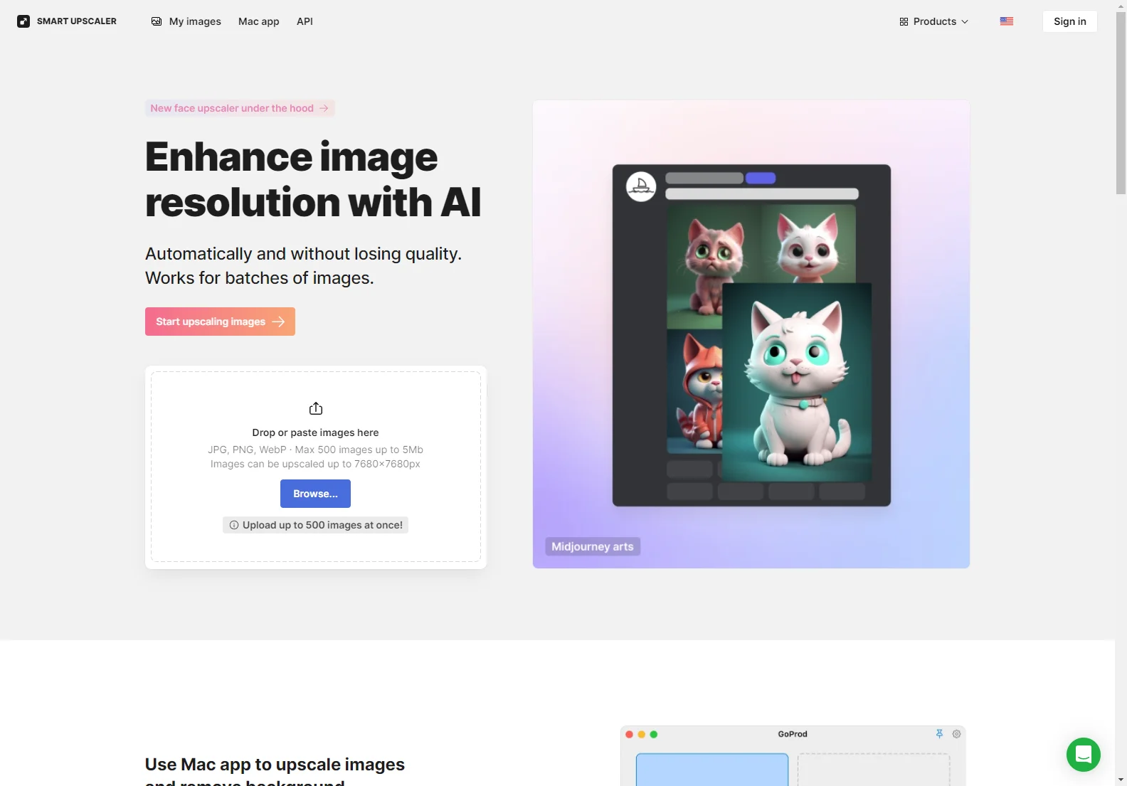 AI Image Upscaler: Enhance Images with Ease