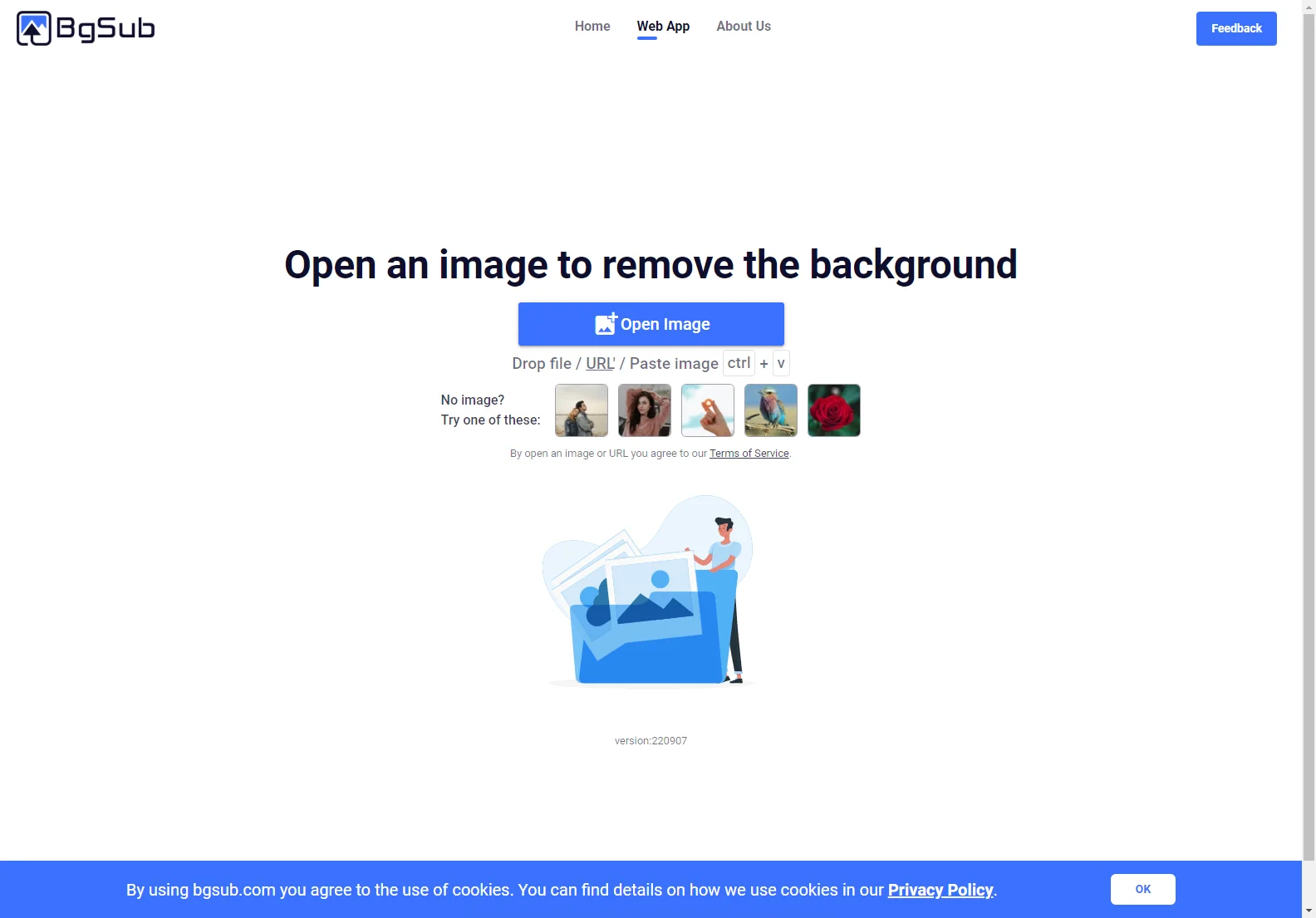 BgSub: Effortlessly Remove Image Backgrounds