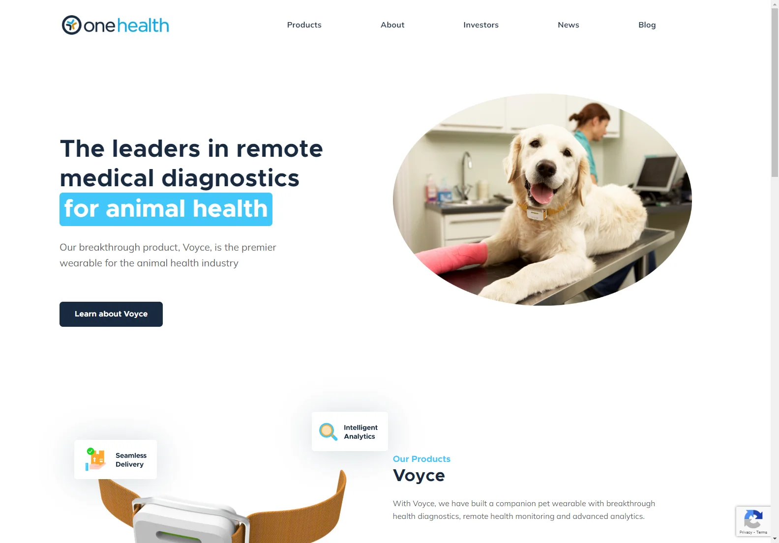 One Health Group: Revolutionizing Animal Health with Voyce