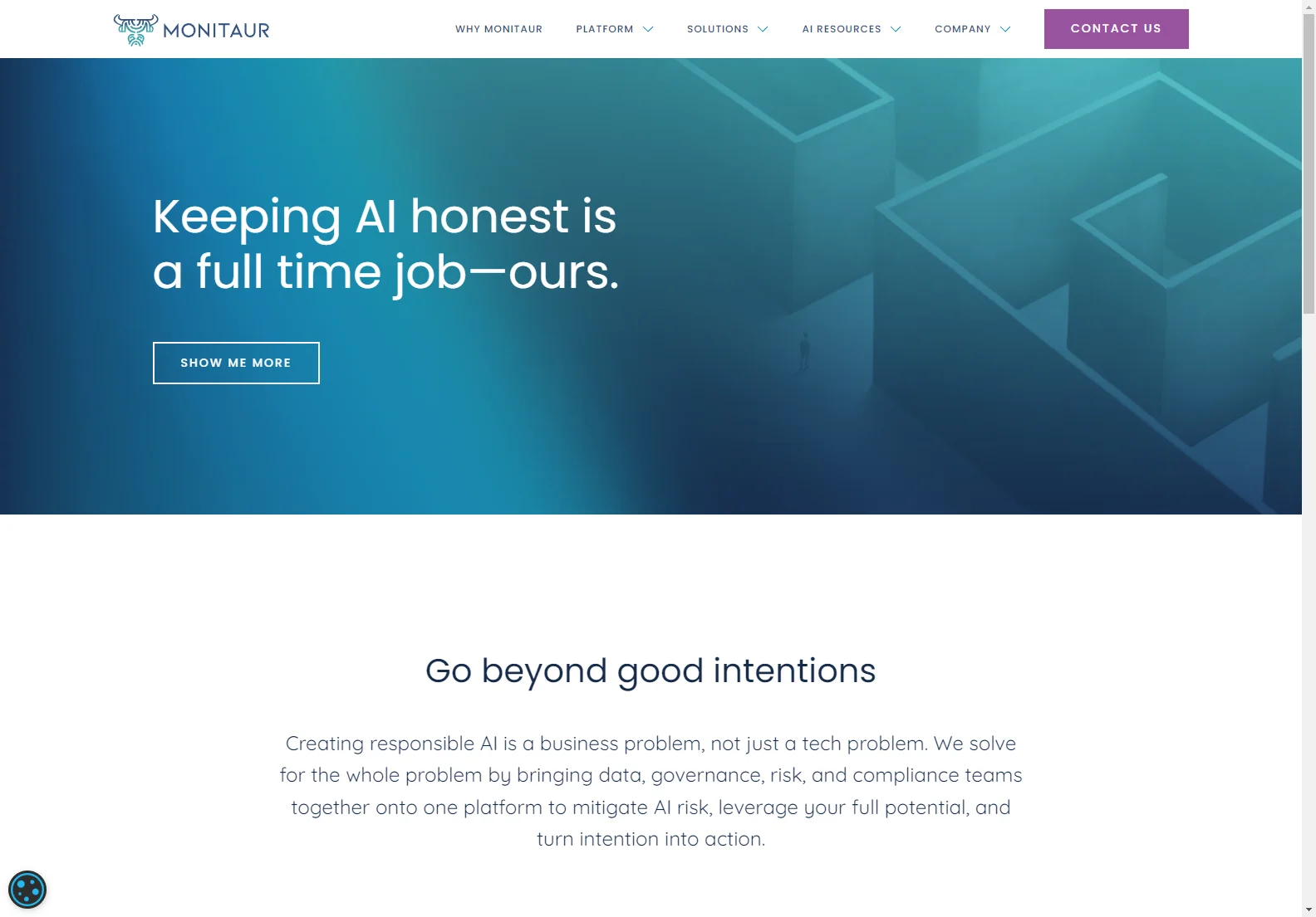 Monitaur: Beyond Good Intentions in AI Governance