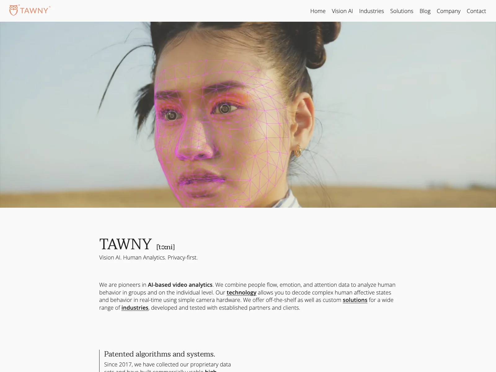 TAWNY: Unleashing the Power of AI in Video Analytics