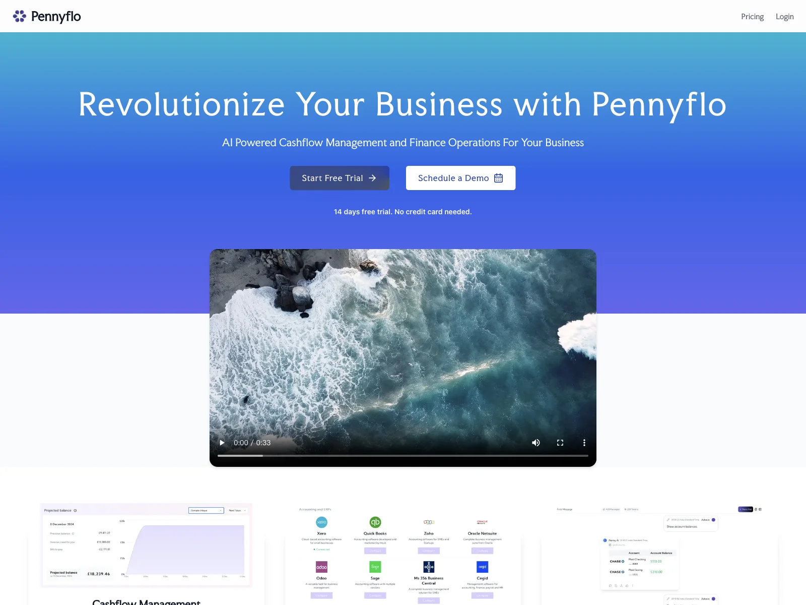 Pennyflo: Revolutionizing Business Finance with AI