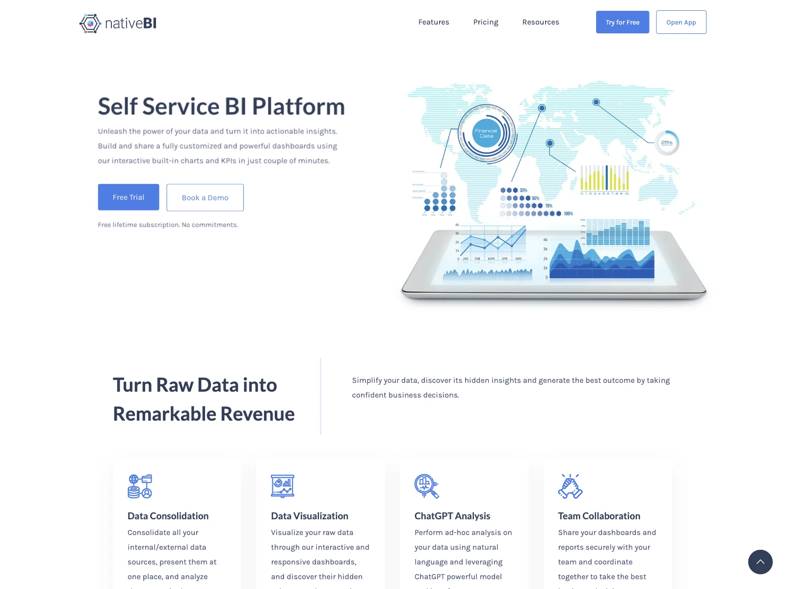 NativeBI: Empowering Business Decisions with Intelligent Insights