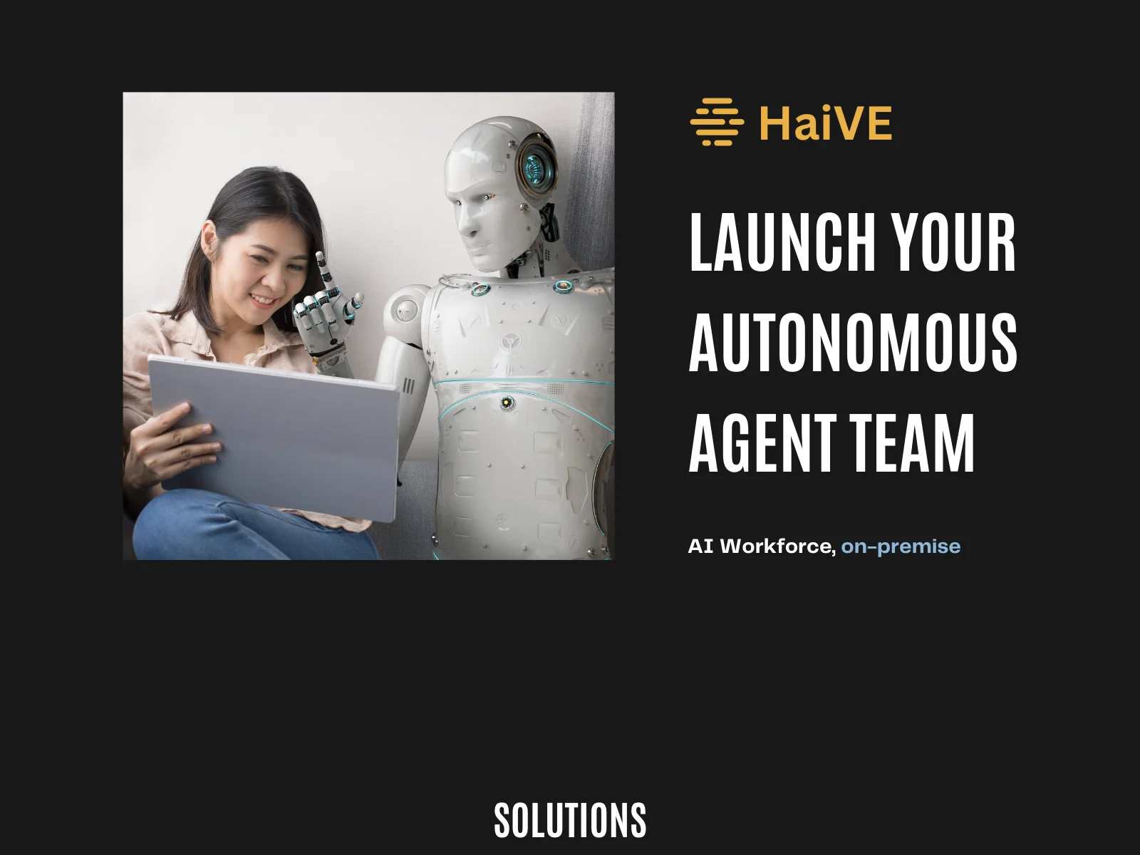 HaiVE - Revolutionizing On-Premise AI with Diverse Capabilities