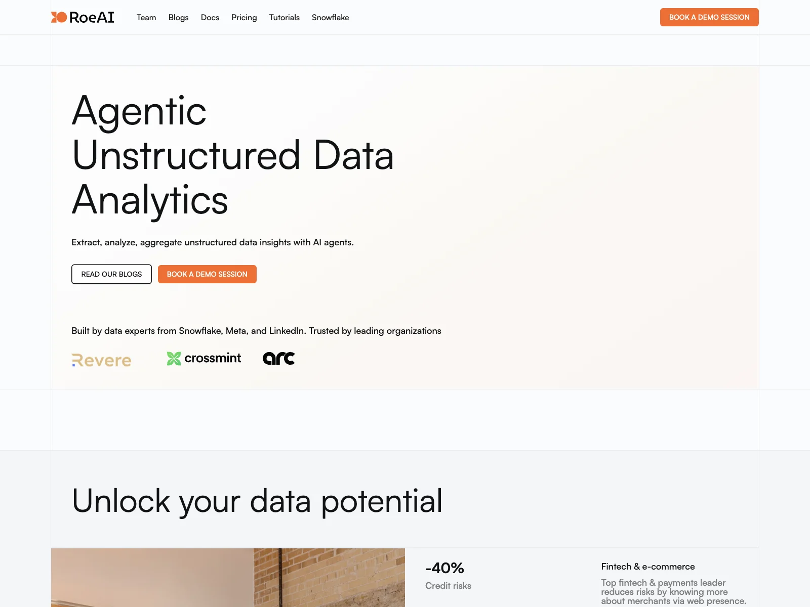 Roe AI: Unlocking Data Insights with Advanced Analytics