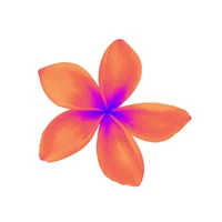 Plumeria