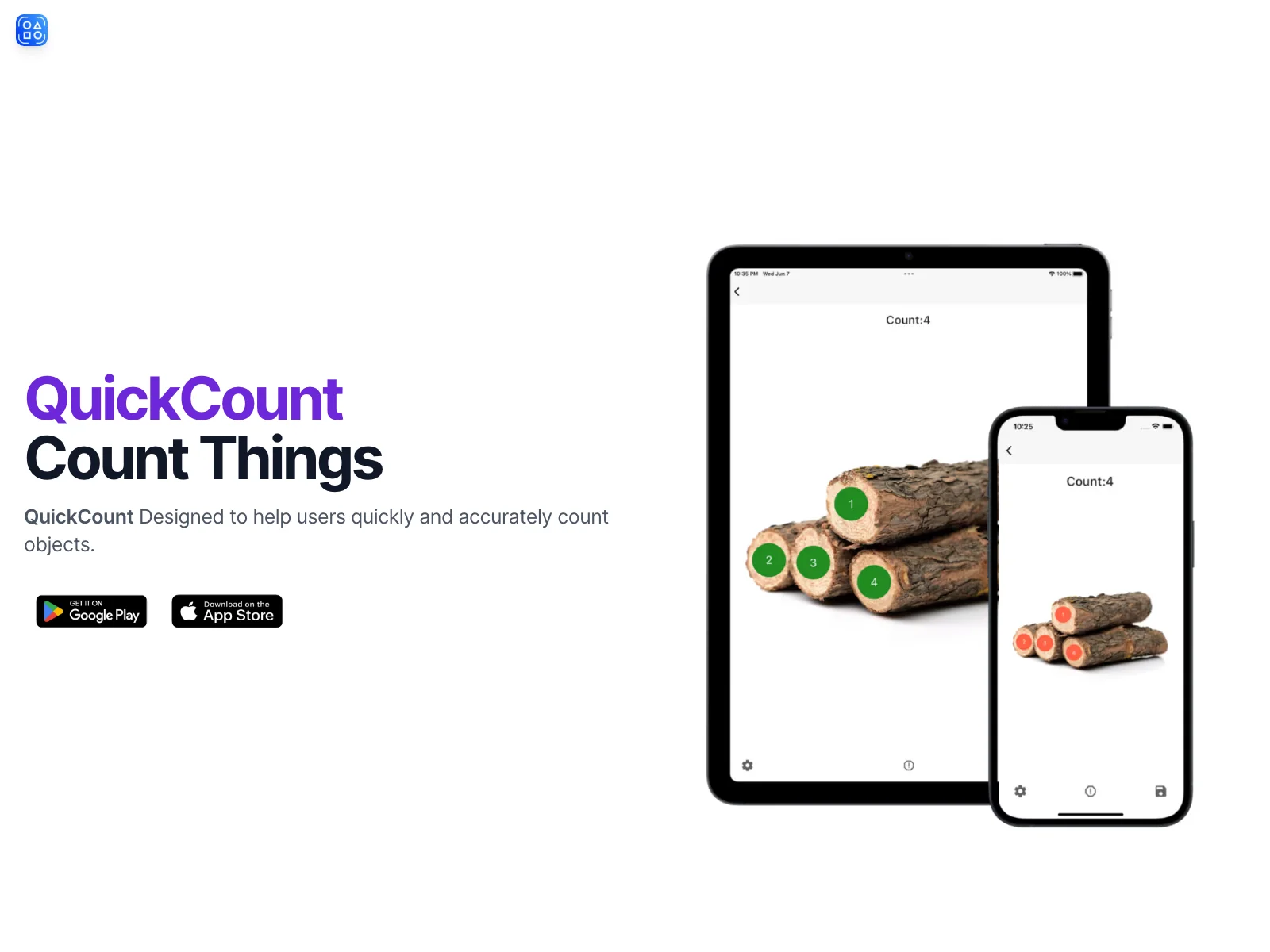 QuickCount: Fast and Accurate Object Counting