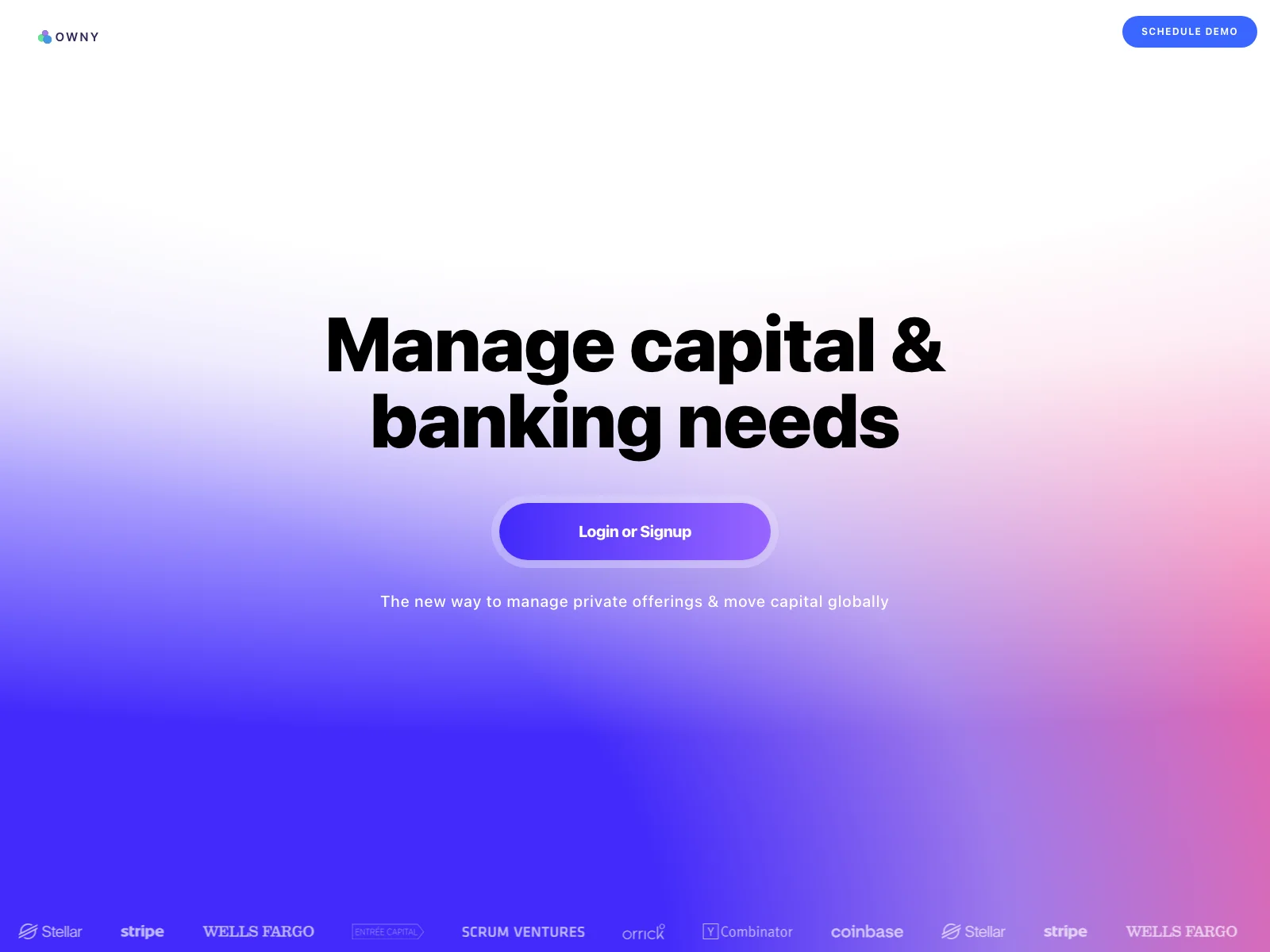 Owny: Empowering Global Financial Management