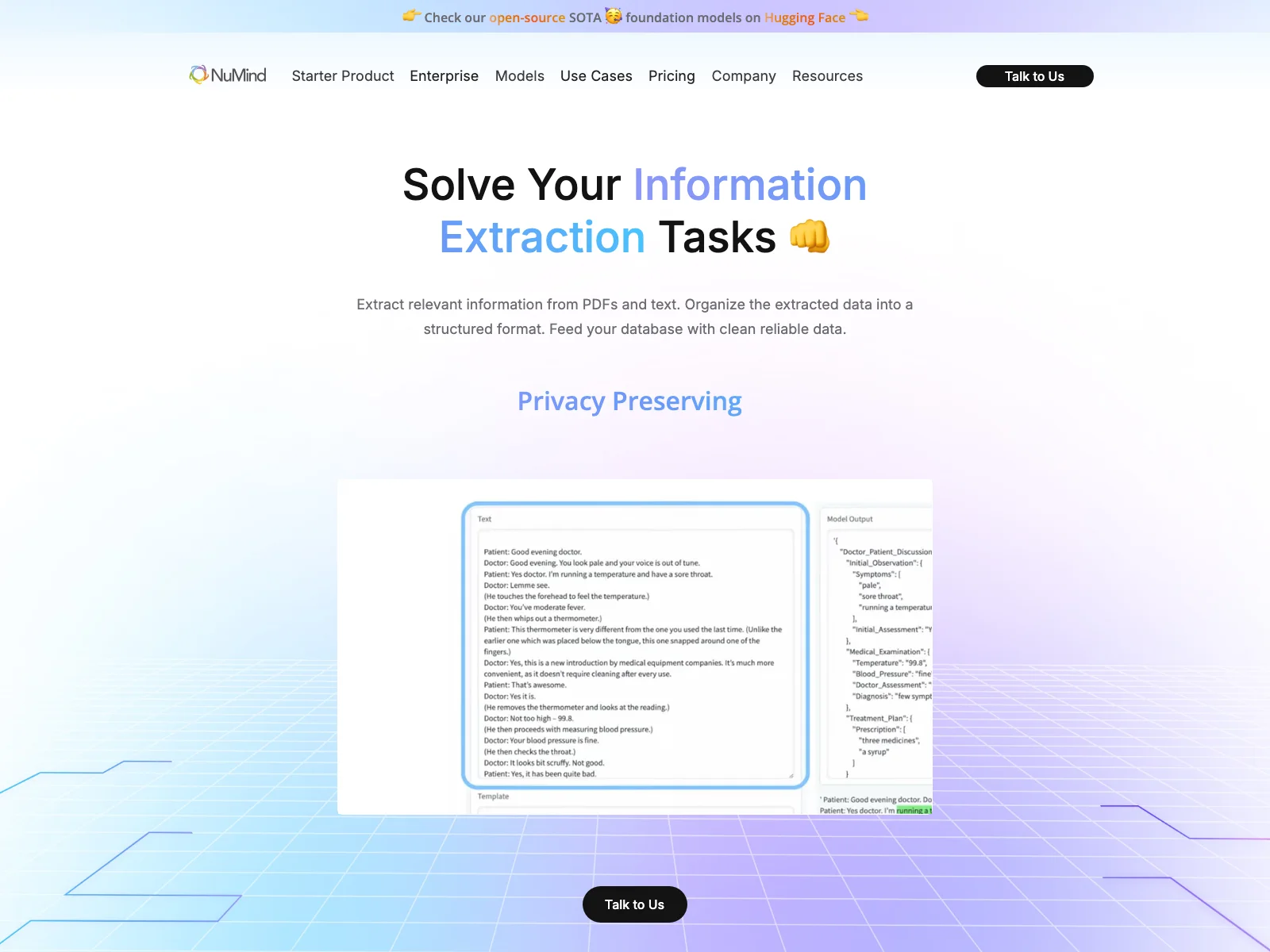 NuMind: Efficiently Solve Information Extraction Tasks