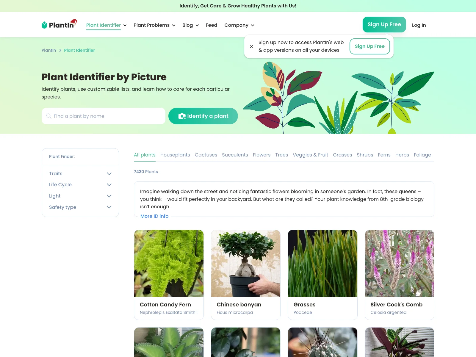 Discover Plants with PlantIn: Identify and Care 🌳