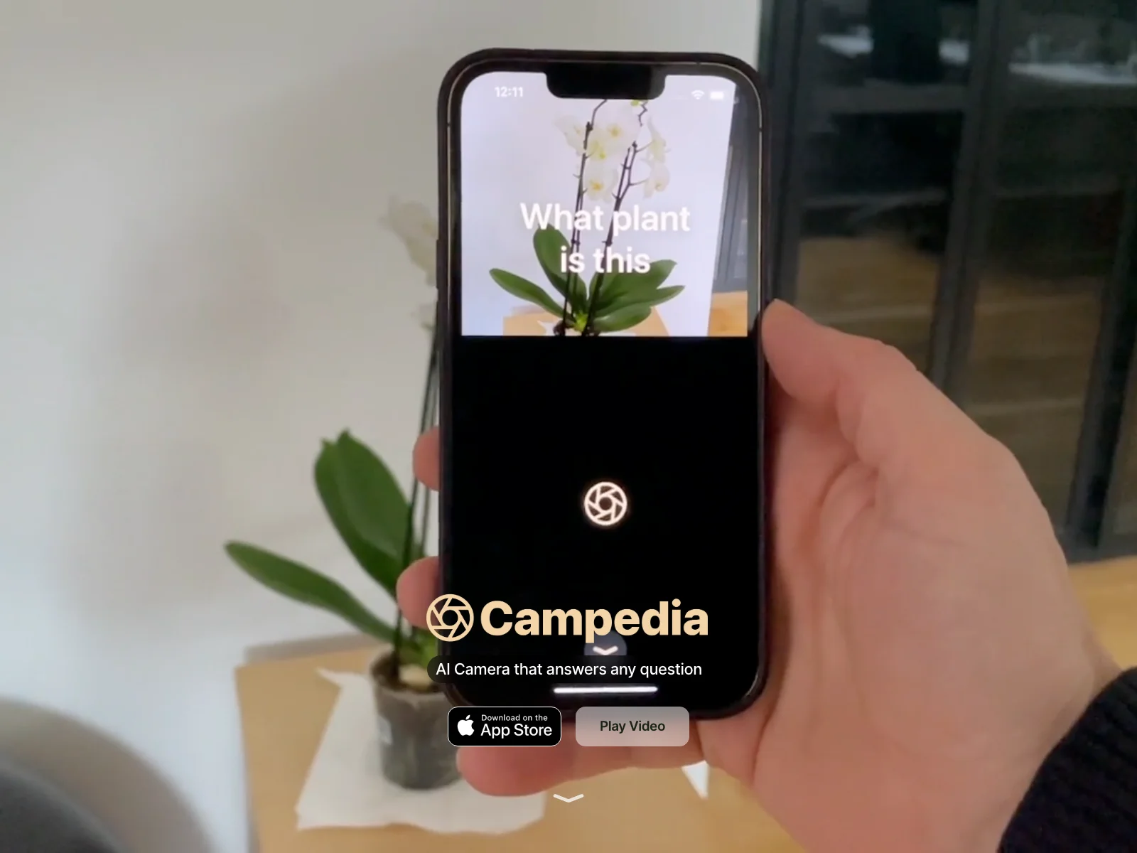 Campedia - AI Camera: Unleashing the Power of Visual Question Answering