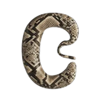 Python Converter - Streamlining Code Translation & Type Conversion