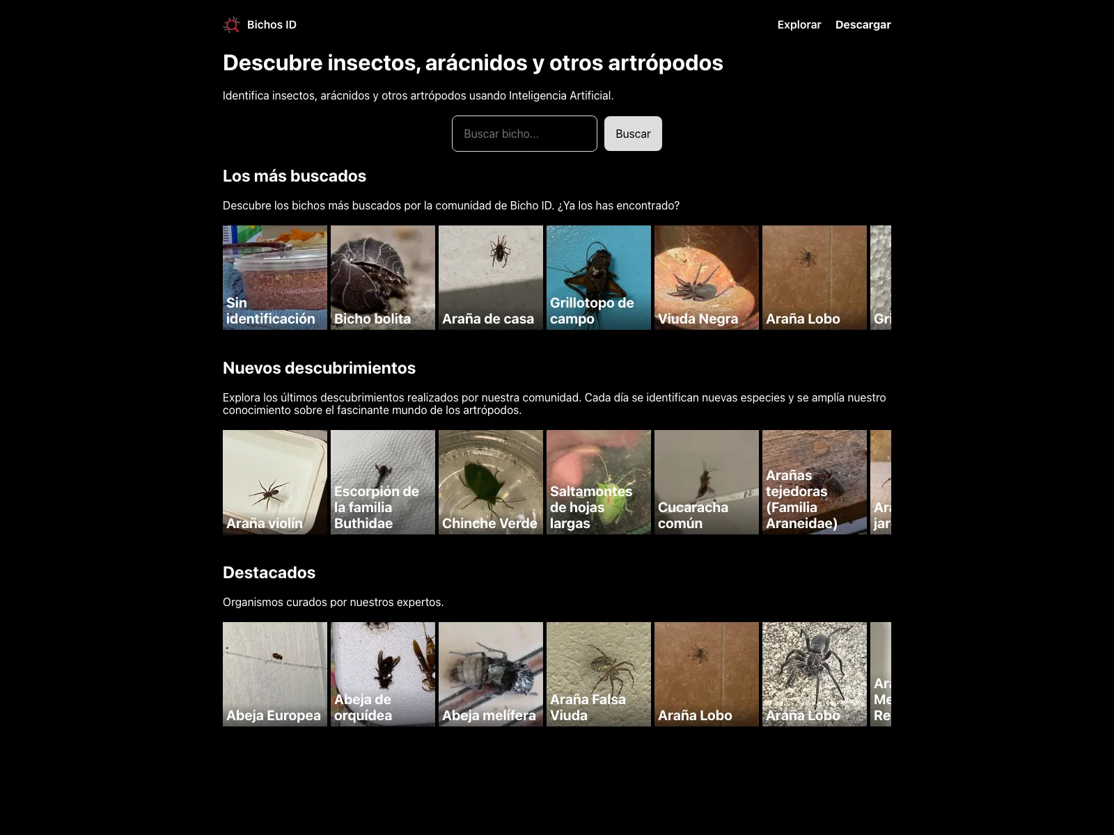 Bichos ID de Fucesa: Unlocking the World of Arthropods with AI