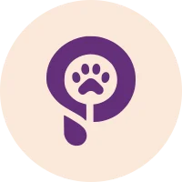 Pic A Pet Name: AI-Powered Pet Name Generator for All Pets