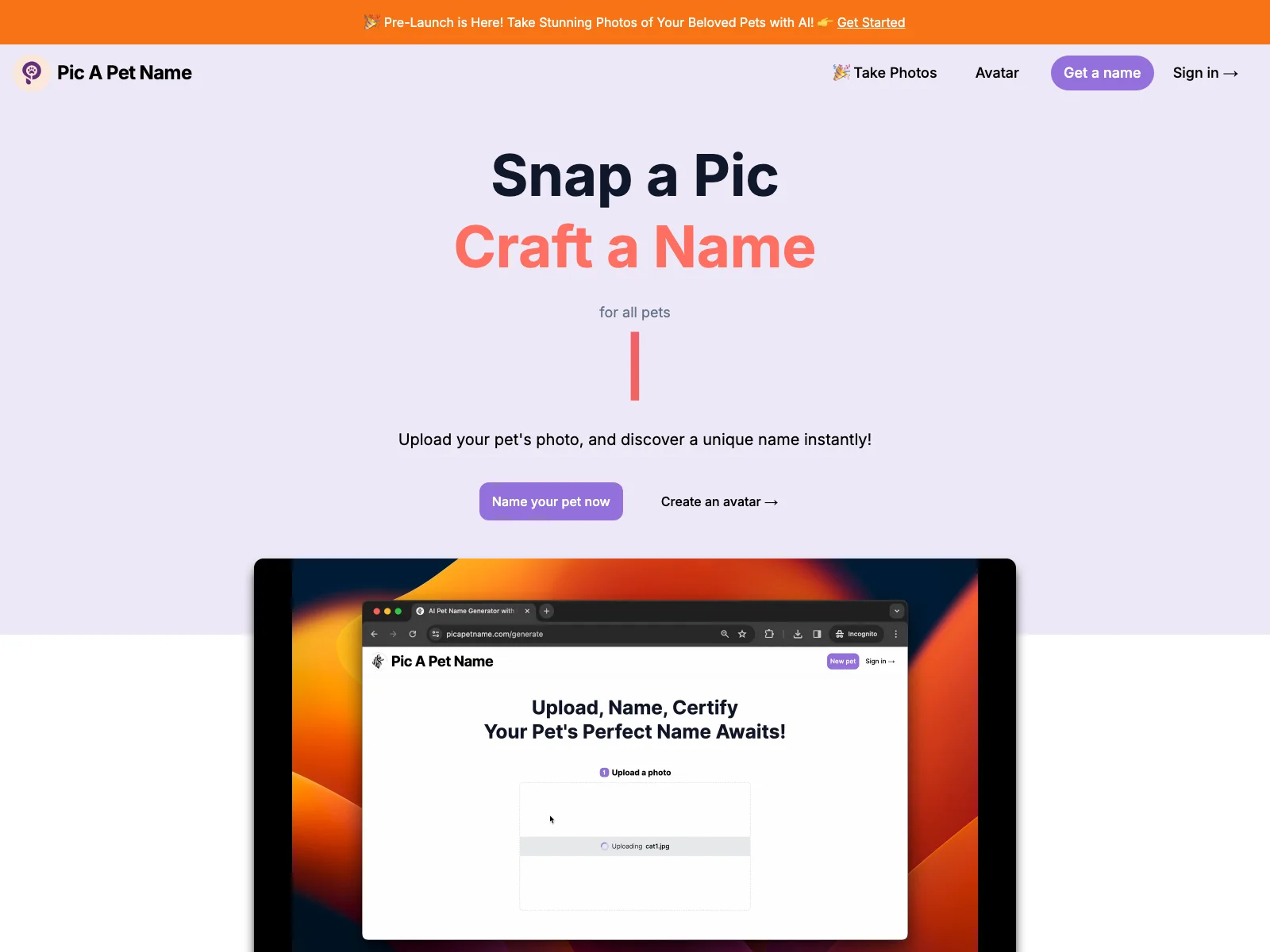 Pic A Pet Name: AI-Powered Pet Name Generator for All Pets