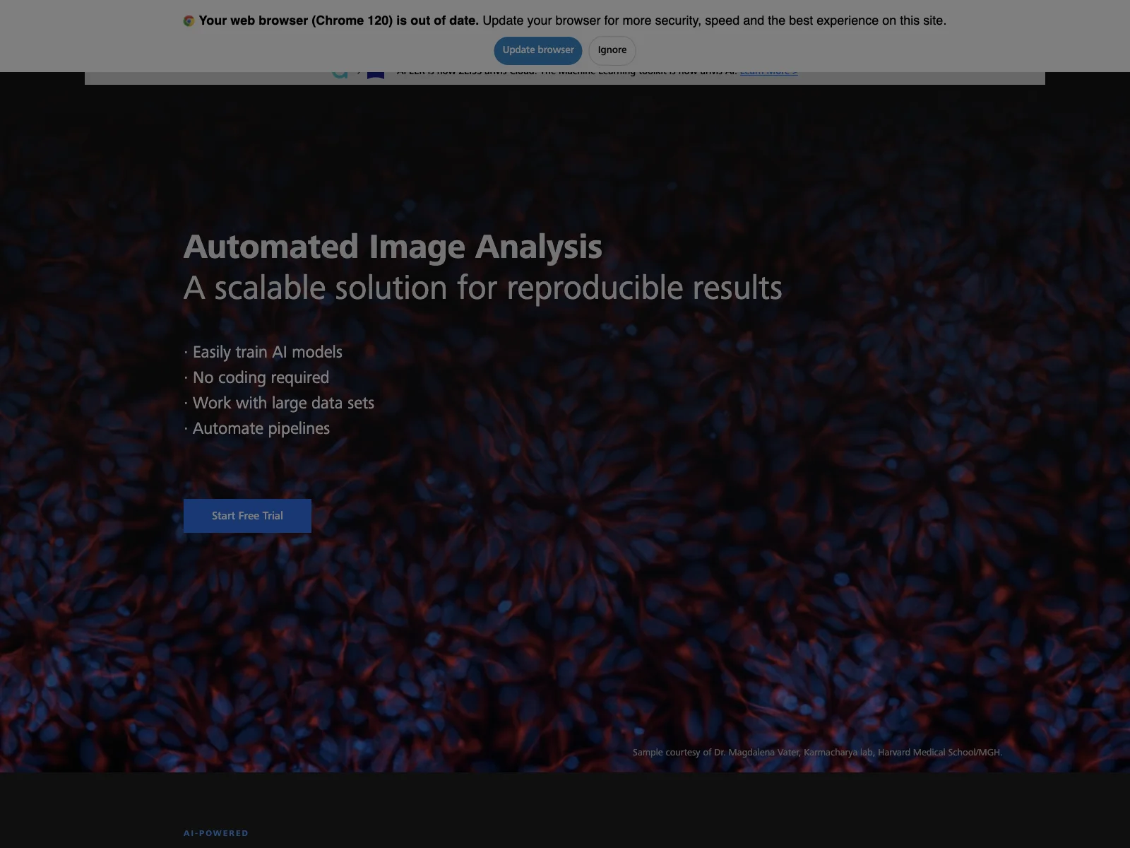 arivis Cloud: Revolutionizing Automated Image Analysis