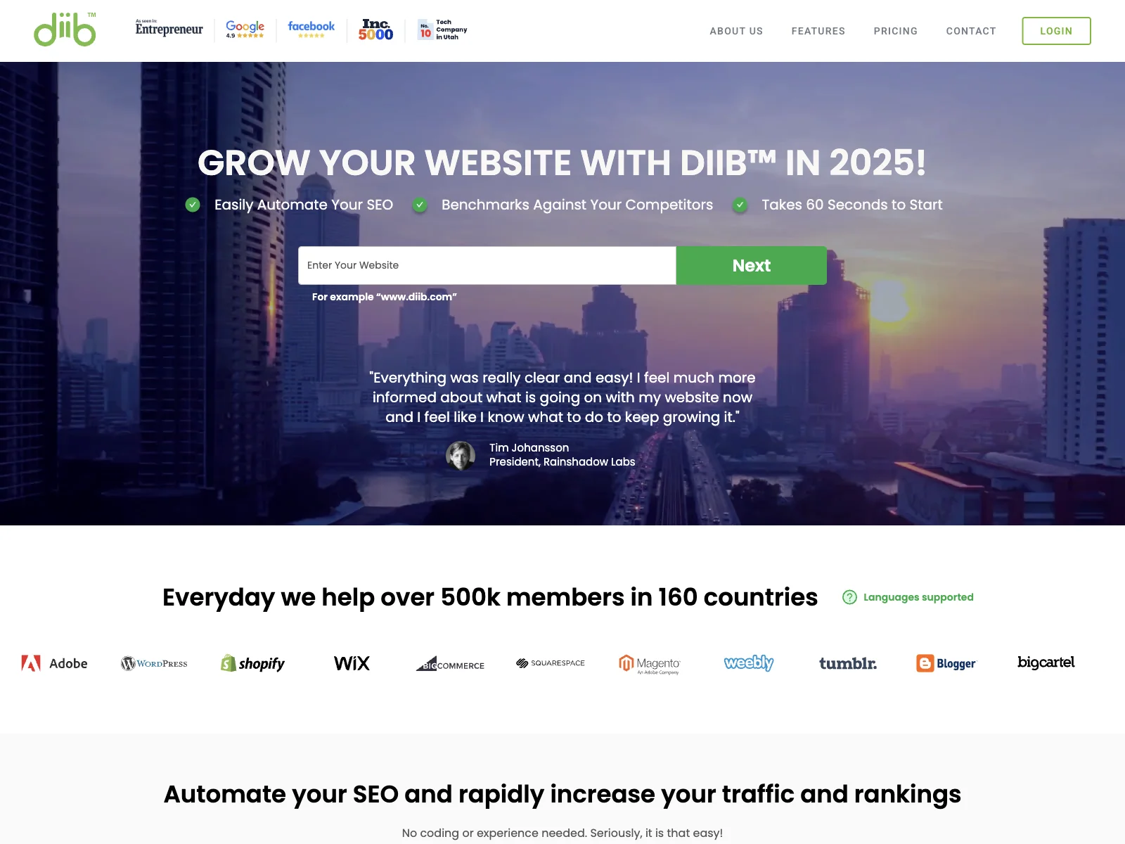 Diib: Unleash Your Website's Potential with SEO & Analytics