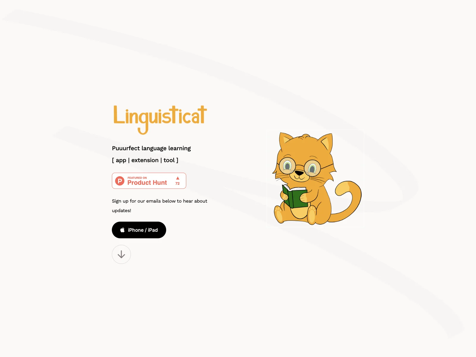 Linguisticat: Transform Your Language Learning Experience